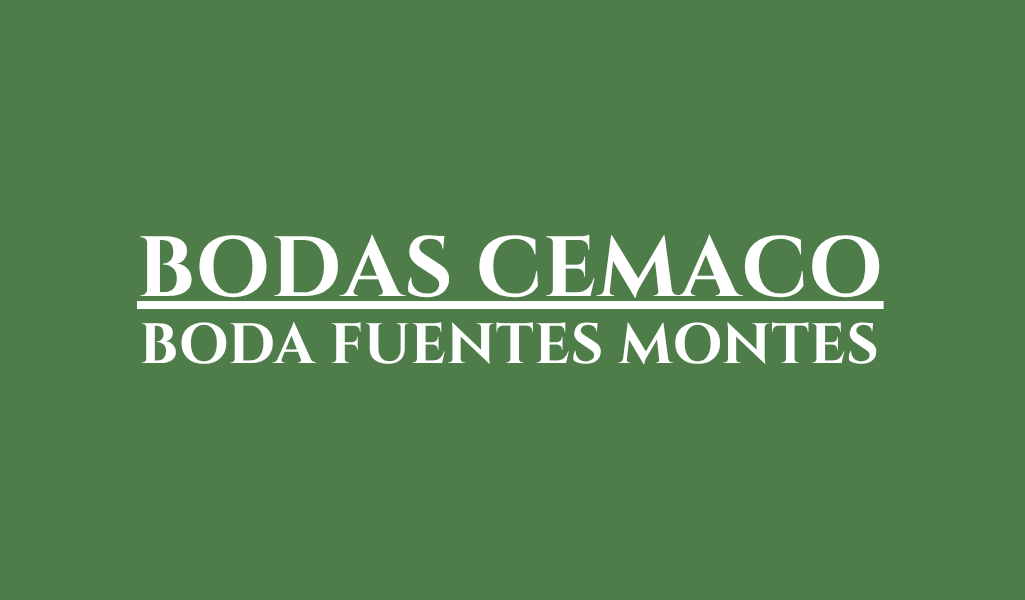 Lista de regalos en Bodas Max